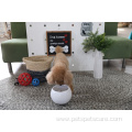 Slow Down Eating Large Capacity Pet Bowl